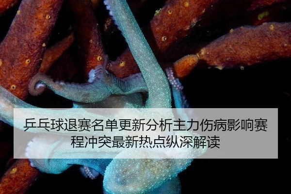 ping-pang-qiu-tui-sai-ming-dan-geng-xin-fen-xi-zhu-li-shang-bing-ying-xiang-sai-cheng-chong-tu-zui-xin-re-dian-zong-1-138.jpg
